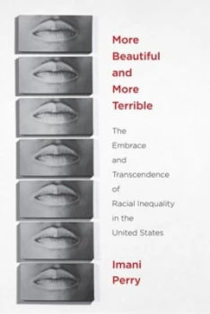 Image of More beautiful and more terrible by Imani Perry