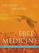 Image of free medicine meditations on nondual awakening