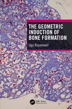 Image of The Geometric Induction of Bone Formation