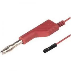 Image of Test lead 1m Red SKS Hirschmann MAL 4 0.64100 0