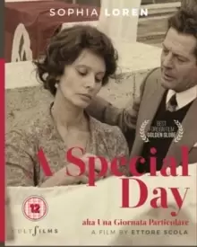 Image of A Special Day