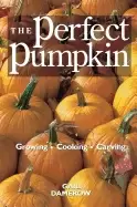 Image of perfect pumpkin growing cooking carving