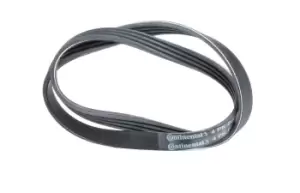 CONTITECH V-ribbed belt 4PK800 Serpentine belt,Auxiliary belt OPEL,FIAT,TOYOTA,Omega B Limousine (V94),Omega B Caravan (V94)