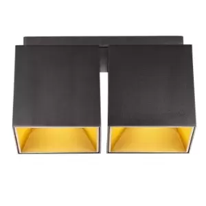 Image of Ethan Twin Surface Mounted Downlight Mat Black, GU10