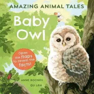 Image of Amazing Animal Tales: Baby Owl by Anne Rooney