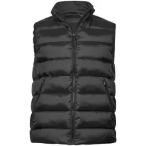 Image of Tee Jays Mens Lite Gilet (3XL) (Black)