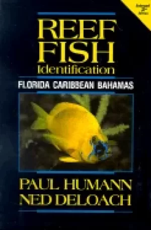 Image of reef fish identification florida caribbean bahamas