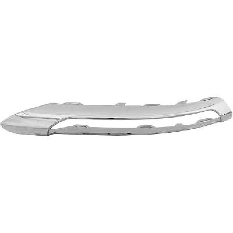 Image of Bumper moulding DIEDERICHS 1672265