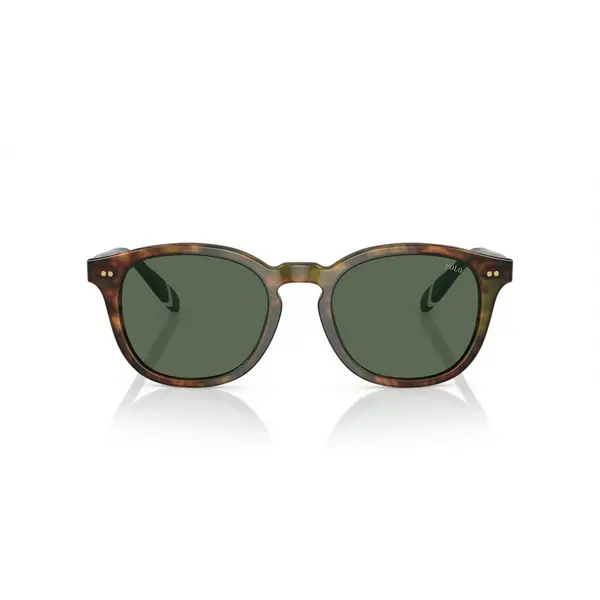 image of Polo Ralph Lauren PH 4206 (501771) Sunglasses