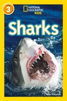 Image of Sharks : Level 3