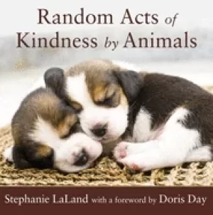 Image of random acts of kindness by animals