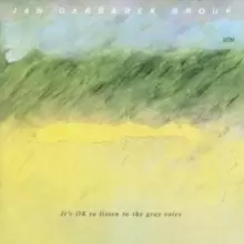 Image of Its Ok To Listen To The Grey Voice