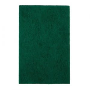 Image of Robert Scott Scouring Pad Abbey Pack of 10