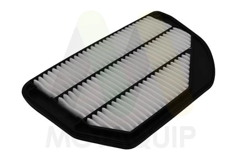 Image of MOTAQUIP Air filter MOTAQUIP LVFA1763