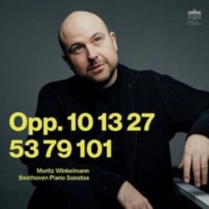 Image of Beethoven: Piano Sonatas, Opp. 10, 13, 27, 53, 79, 101 CD / Box Set