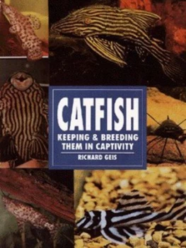 Image of Catfish by Richard Geis Book
