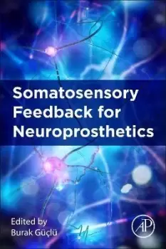 Image of Somatosensory Feedback for Neuroprosthetics by Burak Guclu