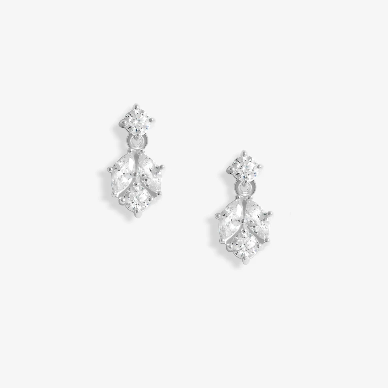 Image of Simply Silver Sterling Silver 925 Cubic Zirconia Round Drop Stud Earrings Silver