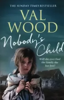 Image of Nobodys child by Val Wood