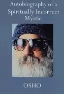 Image of autobiography of a spiritually incorrect mystic