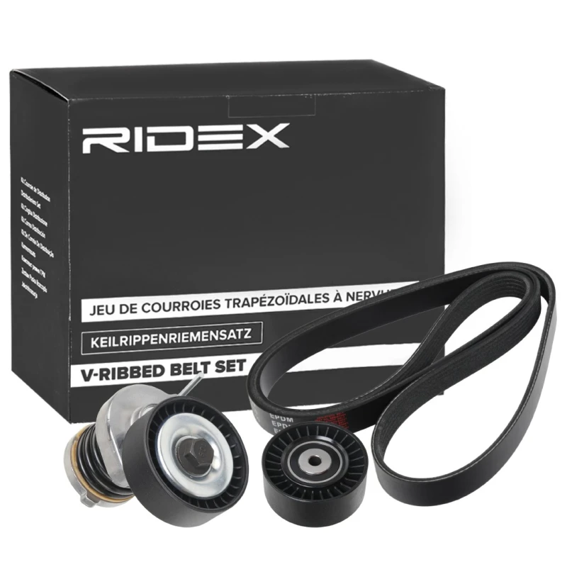 Image of RIDEX 542R0331 V-ribbed belt set V-Ribbed Belt Set (542)