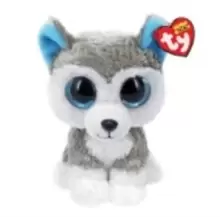 Image of Asher Cat - Boo - Reg