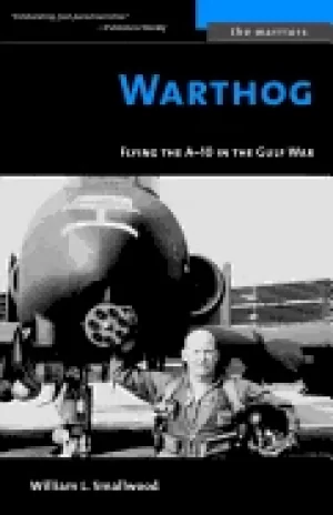 Image of warthog flying the a 10 in the gulf war