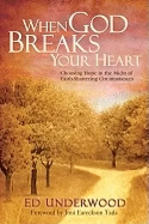 Image of when god breaks your heart choosing hope in the midst of faith shattering c
