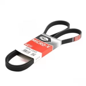 Image of GATES Poly V-Belt ALFA ROMEO,SUZUKI,FIAT 5PK1545 55350421,55350421,55350421 Ribbed Belt,V Ribbed Belt,Multi V Belt,Poly Belt,V-Ribbed Belts 6340606