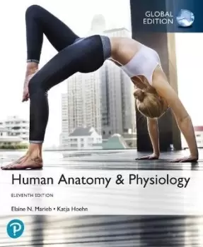 Image of Human Anatomy & Physiology, Global Edition by Elaine Marieb