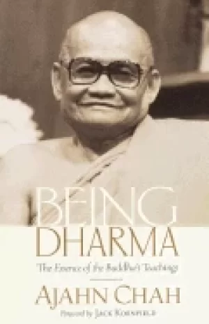 Image of being dharma the essence of the buddhas teachings