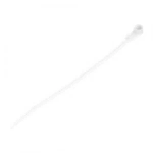 Image of StarTech.com 100 Pack of Plastic Zip Ties With Screw Hole - 6