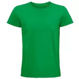 Image of SOLS Unisex Adult Pioneer Organic T-Shirt (XXL) (Kelly Green)