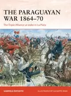 Image of paraguayan war 1864 70 the triple alliance at stake in la plata