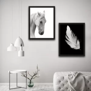 Image of White Feather Horse Set Multicolor Decorative Framed Painting (2 Pieces)