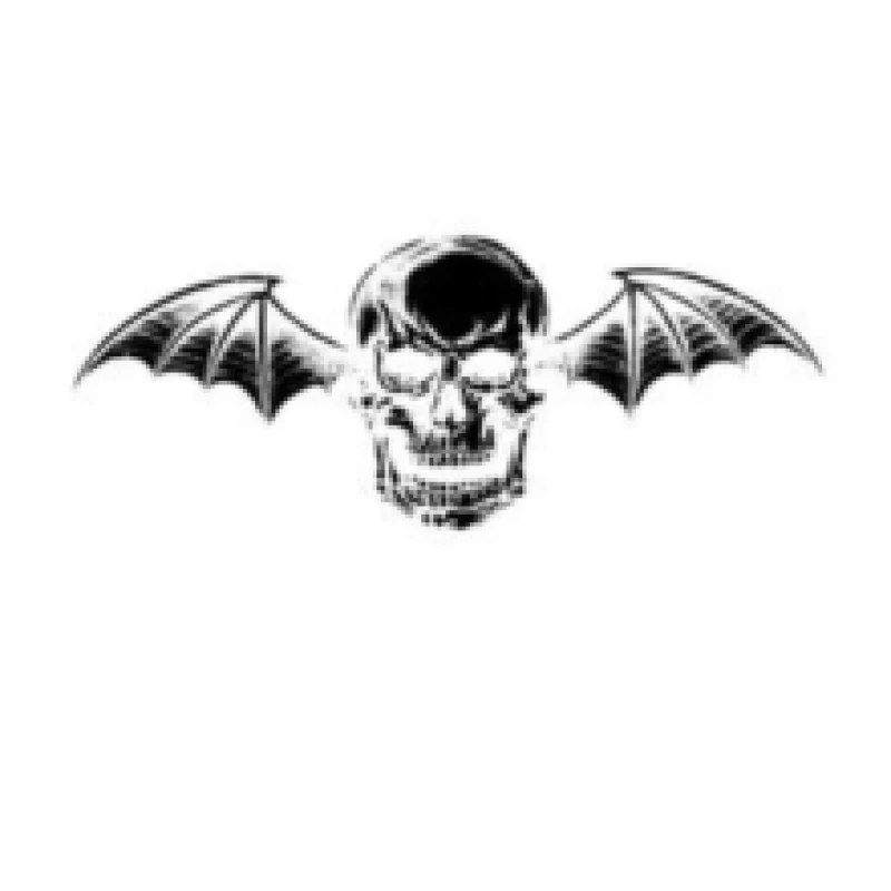 Image of Avenged Sevenfold Vinyl