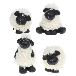 Image of Black Faced Sheep Medium