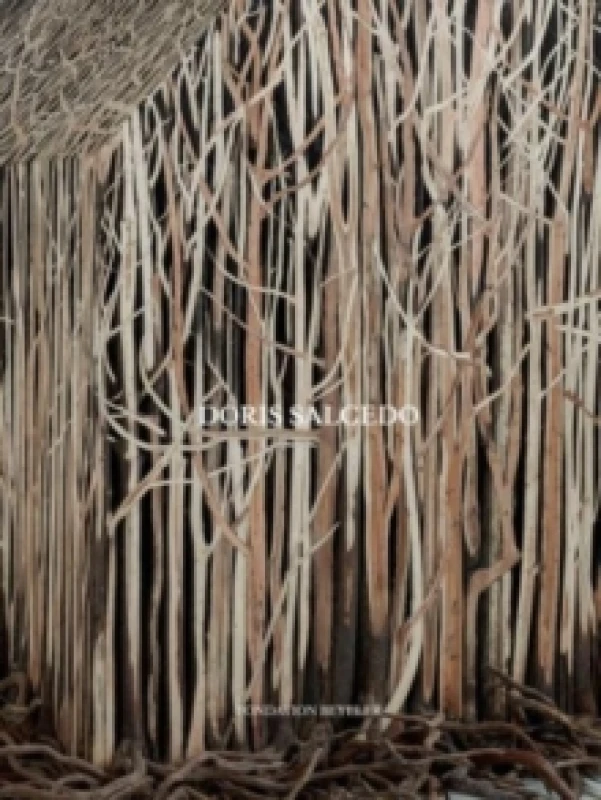 Image of Doris Salcedo Hardback