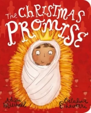 Image of The Christmas promise by Alison Mitchell