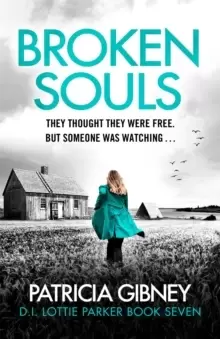 Image of Broken Souls : An absolutely addictive mystery thriller with a brilliant twist