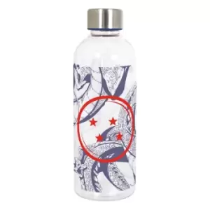 Image of Dragon Ball Hydro Water Bottles Case (6)