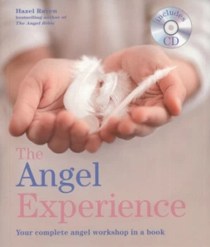 Image of The Angel Experience by Hazel Raven Book