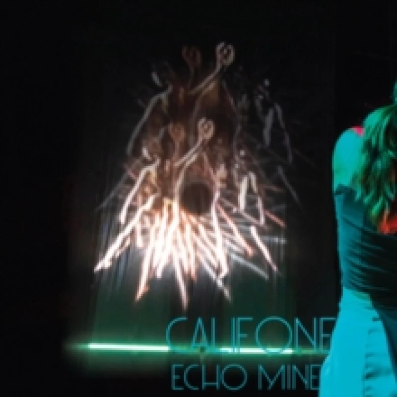 Image of Echo Mine Vinyl