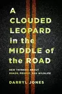 Image of clouded leopard in the middle of the road new thinking about roads people