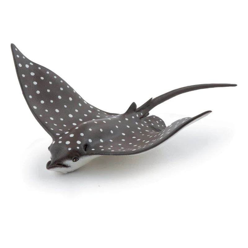 Image of PAPO Spotted Eagle Ray