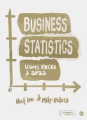 Image of business statistics using excel and spss