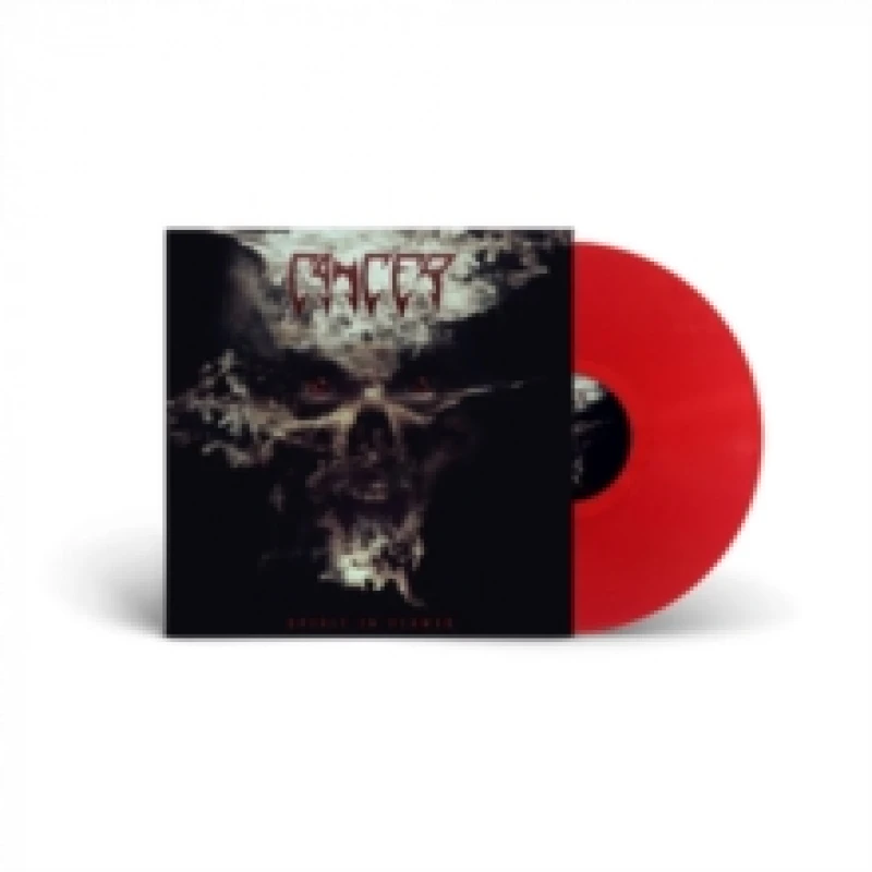 Image of Spirit in flames Vinyl