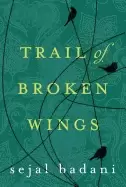 Image of trail of broken wings