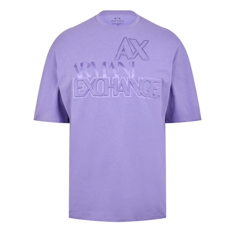 Image of Armani Exchange Outline T Shirt DAHLIA 1355 male S