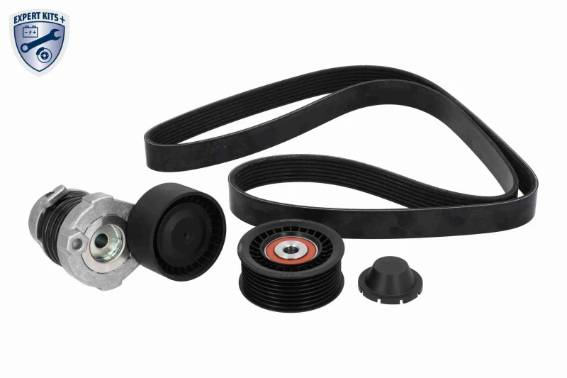Image of VAICO V-Ribbed Belt Set VAICO V46-1685